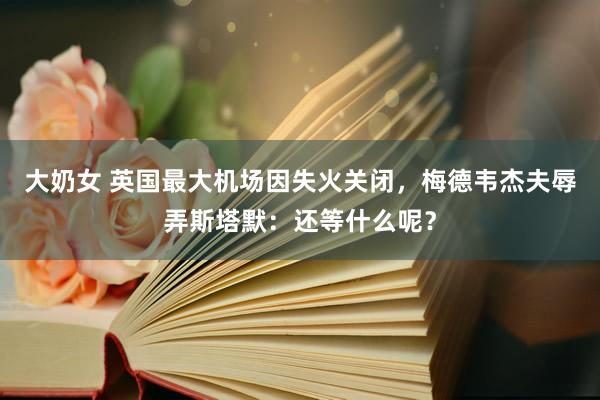 大奶女 英国最大机场因失火关闭，梅德韦杰夫辱弄斯塔默：还等什么呢？