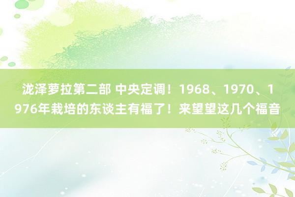 泷泽萝拉第二部 中央定调！1968、1970、1976年栽培的东谈主有福了！来望望这几个福音