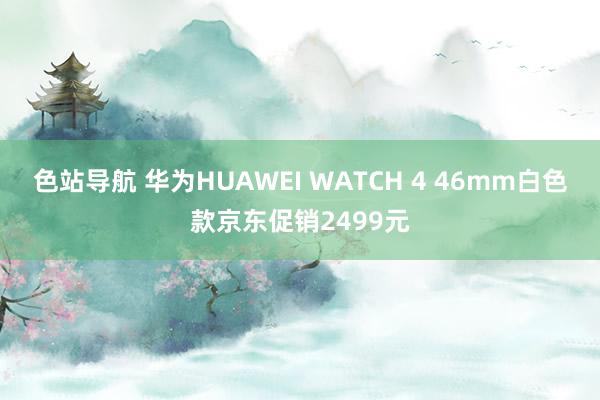 色站导航 华为HUAWEI WATCH 4 46mm白色款京东促销2499元