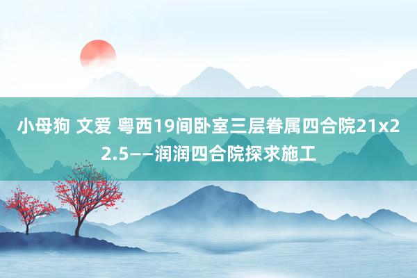 小母狗 文爱 粤西19间卧室三层眷属四合院21x22.5——润润四合院探求施工